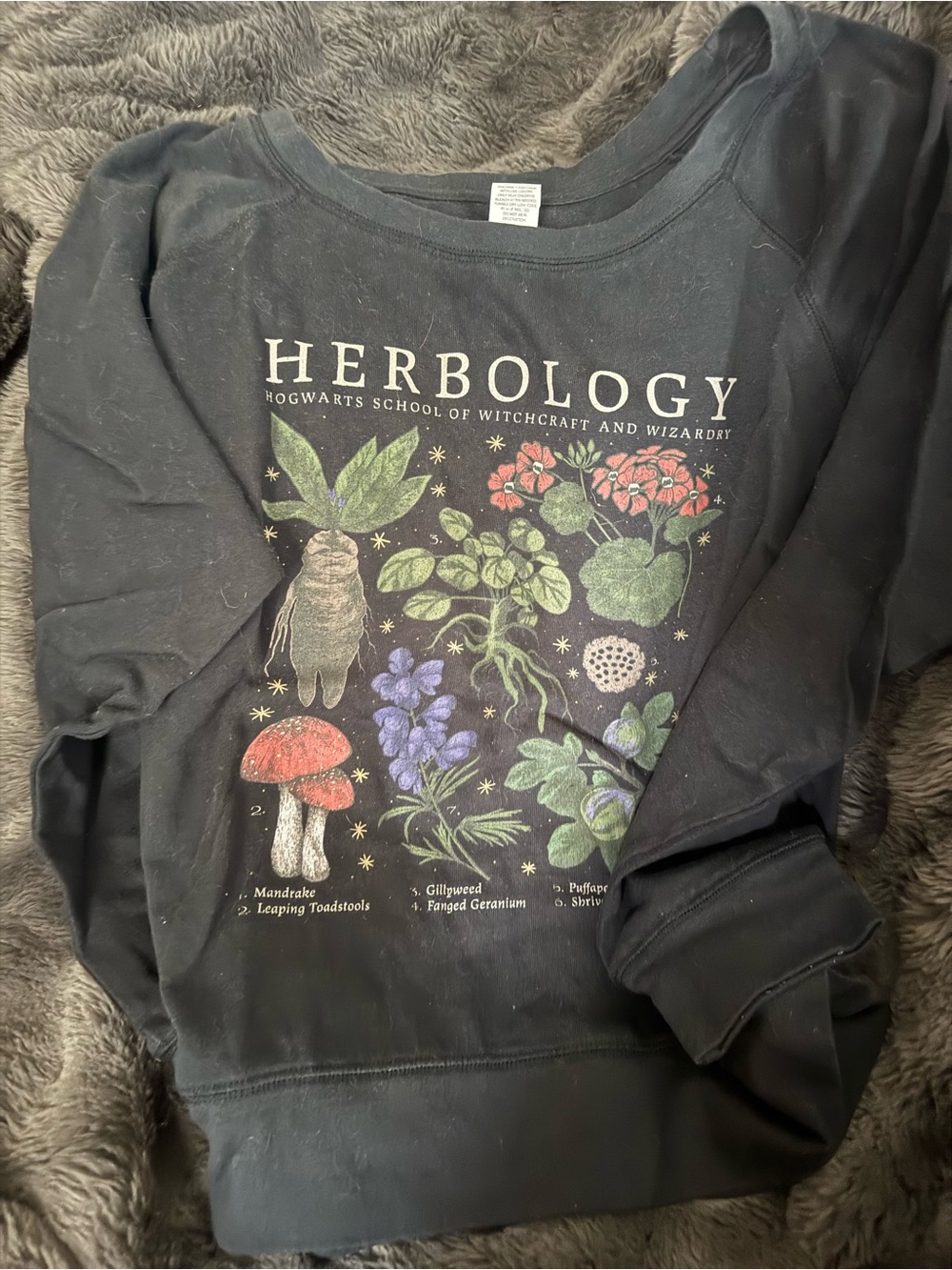 Harry Potter Herbology Botanical Graphic Sweatshirt - Black